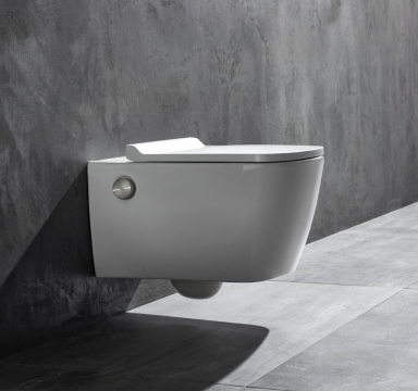 Shower toilets